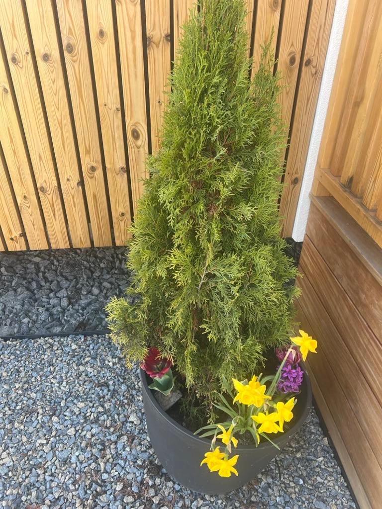 Domcek Pod Vezami S Virivkou A Grilom, Pri Termalnom Kupalisku Apartman Liptovský Ján Kültér fotó